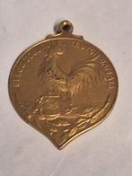 Medaille Verviers wo1 Belg altijd Teuton nooit, Verzamelen, Ophalen of Verzenden, Overige soorten