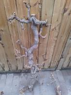 Lot van druiventakken , wortels en schors, Dieren en Toebehoren, Ophalen, Zo goed als nieuw, Tak, Plant, Rots of Steen