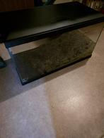 Te koop aquarium, Dieren en Toebehoren, Ophalen, Gebruikt, Leeg aquarium