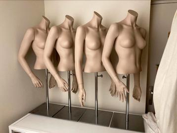 Etalagebustes beschikbaar voor biedingen