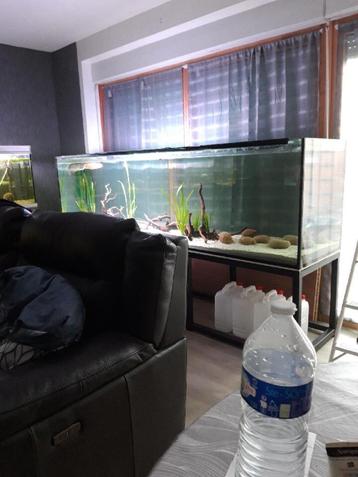 aquariumtank 250 x 70 x 60 + buistafel van 40 mm beschikbaar voor biedingen