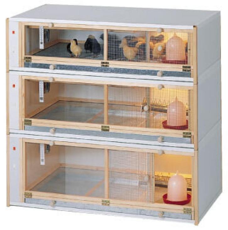 Opfokhokken: koopzondag bij kippenshop jordi, Dieren en Toebehoren, Pluimvee | Toebehoren, Kippenhok of Kippenren, Ophalen of Verzenden