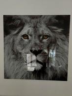 2x glasplaat 80cm x 80cm, Antiek en Kunst, Ophalen