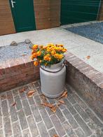 Melkkruik, Enlèvement