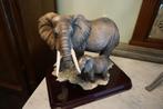 Olifant - Certificaat, Antiek en Kunst, Ophalen