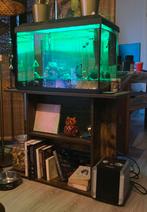 Aquarium 70l + Houten standaard, Dieren en Toebehoren, Ophalen