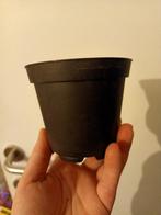 Lot 100 Kweekpotjes, Tuin en Terras, Ophalen