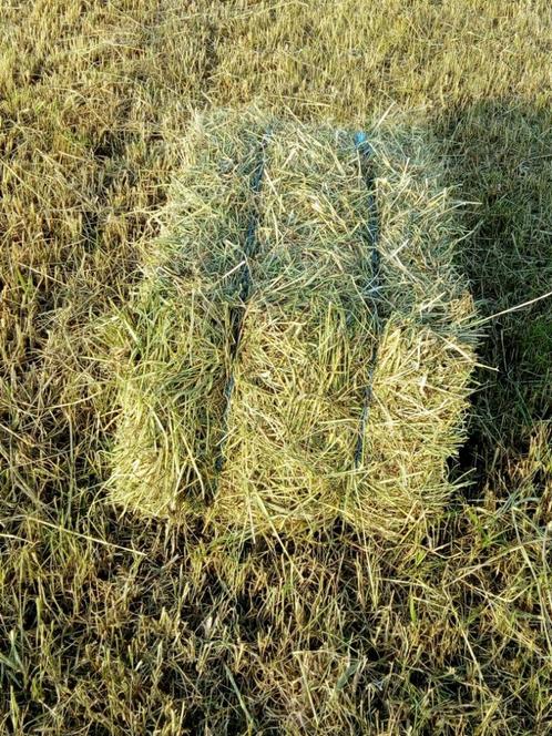 Hooi kleine balen, Dieren en Toebehoren, Dierenvoeding, Overige soorten, Ophalen