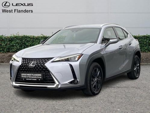 Lexus UX 250h Business Line+cam+nav+Sens V&A, Auto's, Lexus, UX, Adaptive Cruise Control, Airbags, Airconditioning, Bluetooth