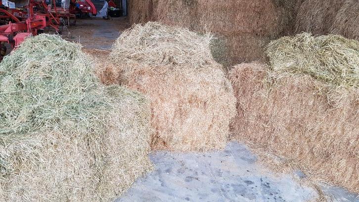 HOOI, Animaux & Accessoires, Nourriture pour Animaux, Enlèvement