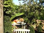 planten - boompjes, Tuin en Terras, Planten | Bomen, Ophalen, In pot, Overige soorten