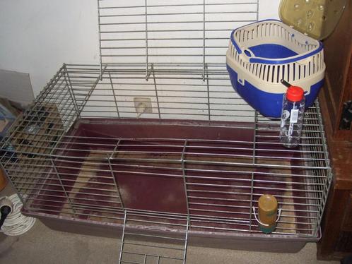 ruim kot voor cavia's of konijnen, Dieren en Toebehoren, Knaagdieren en Konijnen | Hokken en Kooien, Gebruikt, Kooi, Cavia, Hamster