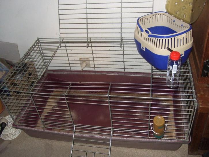ruim kot voor cavia's of konijnen, Dieren en Toebehoren, Knaagdieren en Konijnen | Hokken en Kooien, Gebruikt, Kooi, Cavia, Hamster