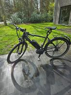 Gazelle Cityzen Speed 53cm heren, Fietsen en Brommers, Elektrische fietsen, Gebruikt, 50 km per accu of meer, 51 tot 55 cm, Ophalen