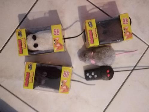 radiografisch bestuurbare muis, Dieren en Toebehoren, Overige Dieren