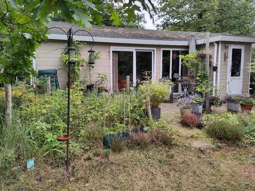 Chalet in bosrijke omgeving op Veluwe NL, Immo, Op zoek naar een huis