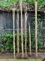 Bâtons de bambou et plantes de jardin, Enlèvement ou Envoi