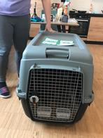 Transportbox voor hond – IATA 6 groote, Dieren en Toebehoren, Ophalen, Gebruikt