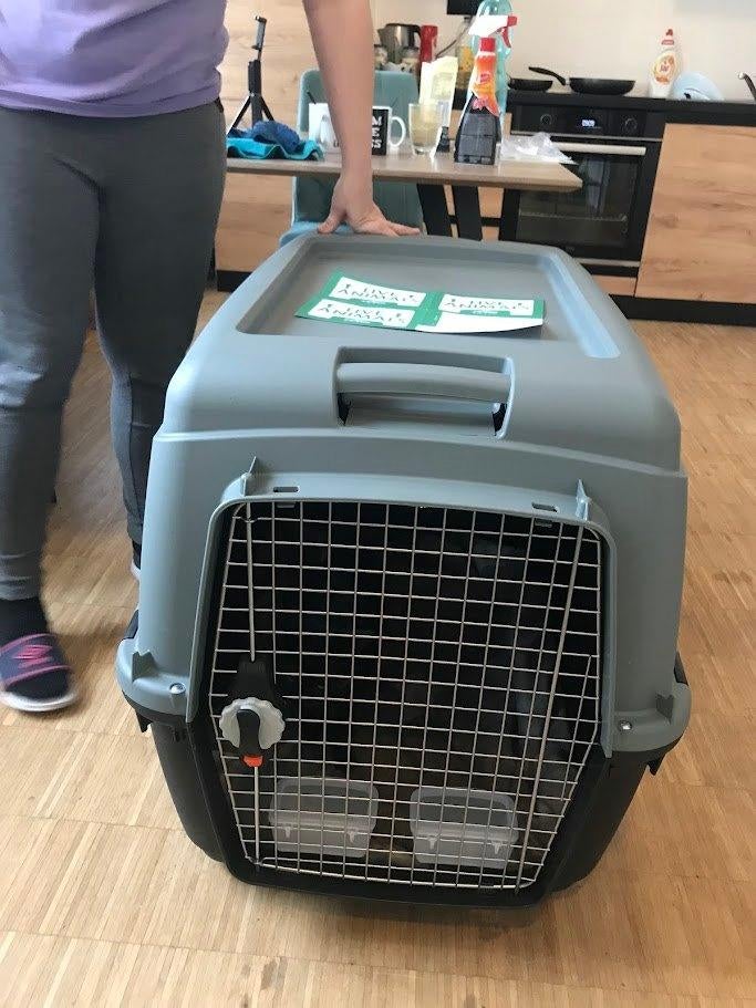 Transportbox voor hond – IATA 6 groote, Dieren en Toebehoren, Hondenbenches, Gebruikt, Ophalen