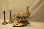 Taxidermie - opgezette eend, Verzamelen, Ophalen of Verzenden, Gebruikt, Vogel, Opgezet dier