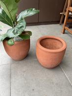 2 Italiaanse terracotta potten., Gebruikt, Rond, Tuin, Minder dan 40 cm