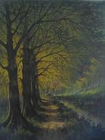 schilderij van daele bos, Ophalen