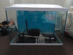 Aquarium superfich 70 liter met pomp en en led lamp, Dieren en Toebehoren, Vissen | Aquaria en Toebehoren, Ophalen