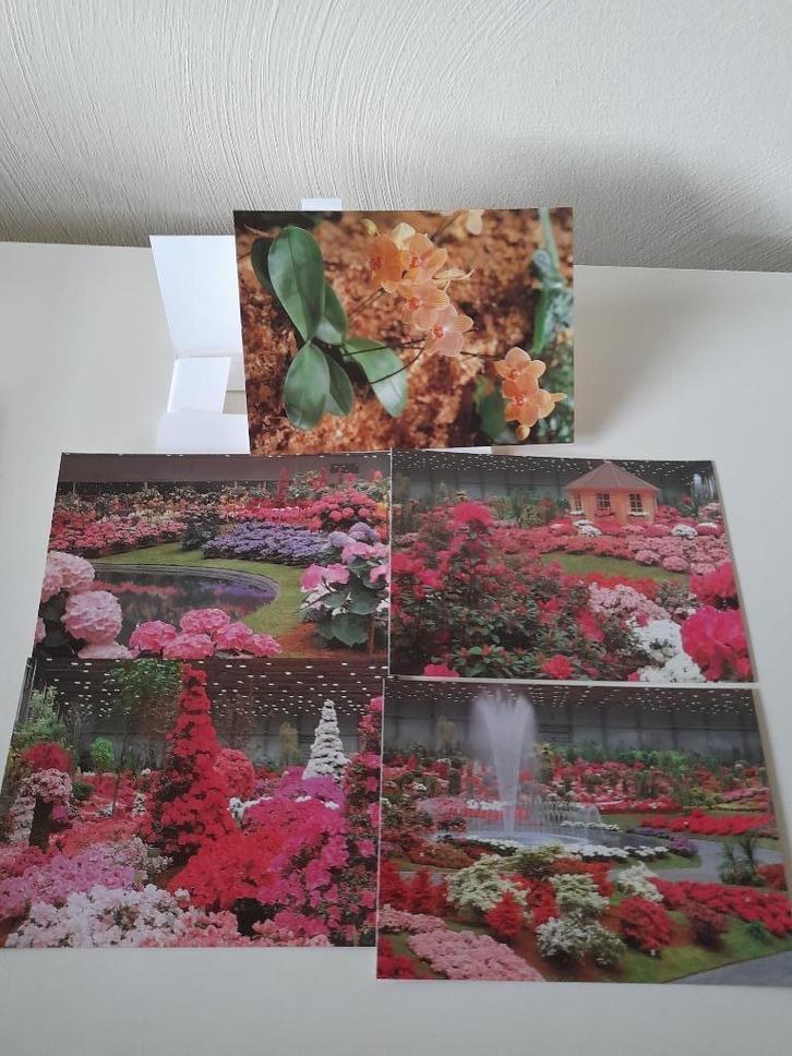 Set 5 postkaarten - Floralien Gent, Verzamelen, Postkaarten | Themakaarten, Ongelopen, Natuur, Ophalen of Verzenden