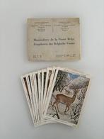Vintage Série Cartes postales 9 Mammifères de la Faune Belge, Collections, 1920 à 1940, Non affranchie, Bruxelles (Capitale), Enlèvement ou Envoi