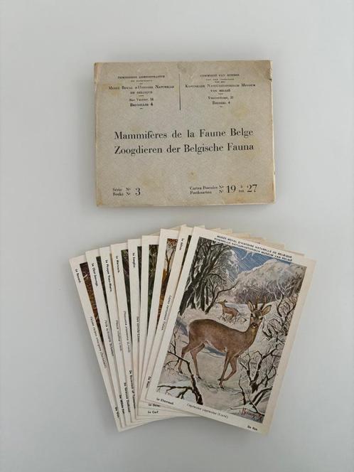 Vintage Série Cartes postales 9 Mammifères de la Faune Belge, Collections, Cartes postales | Belgique, Non affranchie, Bruxelles (Capitale)