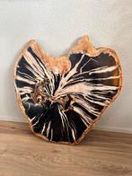 exlusieve plak versteend hout zebra kleuren, petrified wood, Verzamelen, Ophalen of Verzenden