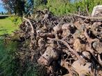 GRATIS - Brandhout peren & appel knotten, Tuin en Terras, Brandhout, Ophalen
