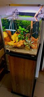 dennerle aquarium+lamp+kast van serra met kastverlichting, Dieren en Toebehoren, Ophalen, Gebruikt, Leeg aquarium