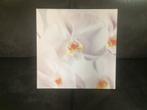 cadre orchidée (grand format 57 x 57 cm) - Ikéa, Maison & Meubles, Accessoires pour la Maison | Cadres, Comme neuf, Enlèvement
