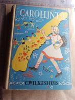 Carolijntje C. Wilkeshuis, Livres, Livres pour enfants | Jeunesse | Moins de 10 ans, Enlèvement ou Envoi