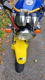 CB 600 Hornet, Motoren, Motoren | Honda, Particulier