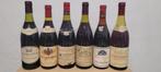 6x Bourgogne Côte de Nuits en Beaune (15€/fles), Verzamelen, Ophalen, Frankrijk, Zo goed als nieuw, Rode wijn