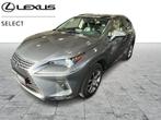 Lexus NX 300H executive line, Auto's, Lexus, Automaat, 197 pk, 145 kW, Bedrijf