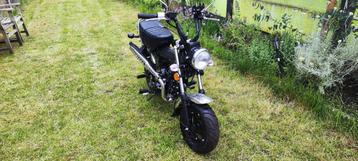 Zhenhua Dax OT | Full Black | A-Klasse | 50CC, 49 cm³, Comme neuf, Enlèvement, Classe A (25 km/h)
