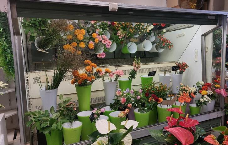 Frigo met wandkoeling, Zakelijke goederen, Horeca | Food, AGF, Ophalen