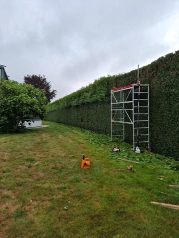 Rolsteiger te huur beschikbaar voor biedingen