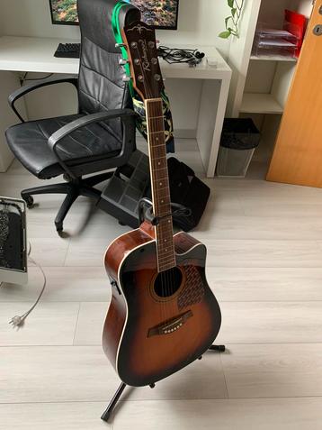 Stoere akoestische gitaar - Richwood  beschikbaar voor biedingen