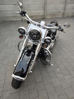 Harley Davidson softail deluxe, Motos, Entreprise