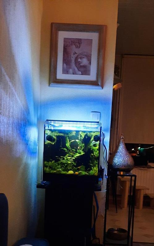 Aquarium Qubiq 60 pro, Dieren en Toebehoren, Vissen | Aquaria en Toebehoren, Zo goed als nieuw, Ophalen