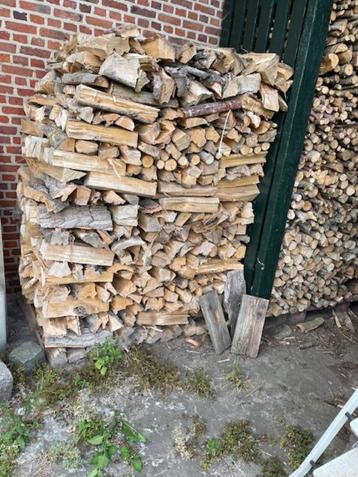 BRANDHOUT   LOCHRISTI beschikbaar voor biedingen