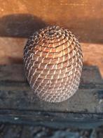 Geweven bijenkorf, Animaux & Accessoires, Insectes & Araignées