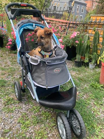 Poussette pliable INNOPET pour chien, très bon état., Enlèvement, Utilisé
