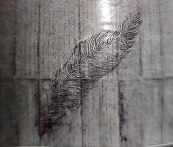Papier peint photo, papier peint polaire 3,50 m x 2,50 m, Enlèvement ou Envoi