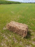 Erwtenstro, Dieren en Toebehoren