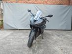 Triumph Daytona 660 2024, Motoren, 3 cilinders, Super Sport, Meer dan 35 kW, Minimaal motorrijbewijs A2